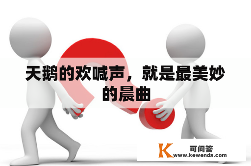 天鹅的欢喊声，就是最美妙的晨曲