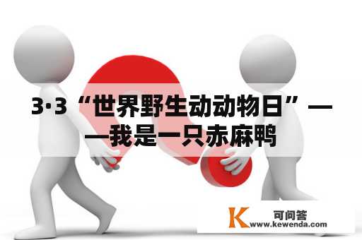 3·3“世界野生动动物日”——我是一只赤麻鸭