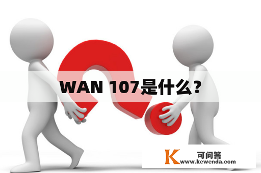 WAN 107是什么？