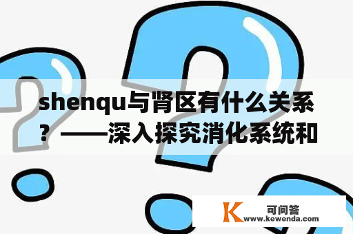 shenqu与肾区有什么关系？——深入探究消化系统和泌尿系统的相互影响