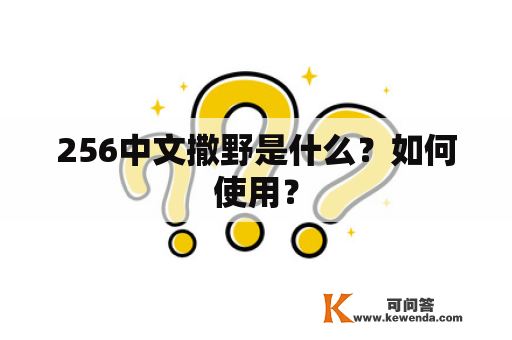 256中文撒野是什么？如何使用？