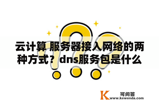 云计算 服务器接入网络的两种方式？dns服务包是什么？