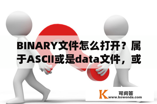 BINARY文件怎么打开？属于ASCII或是data文件，或是binary?都是些什么啊？