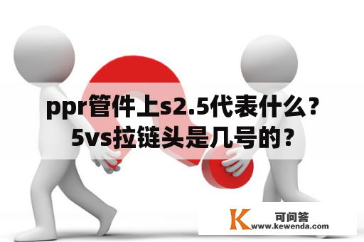 ppr管件上s2.5代表什么？5vs拉链头是几号的？