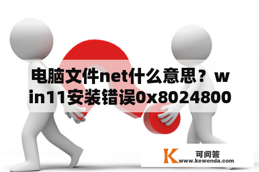 电脑文件net什么意思？win11安装错误0x80248007怎么解决？