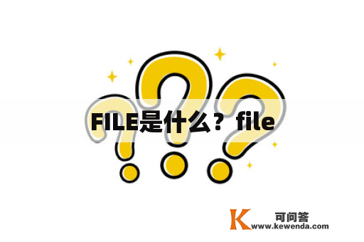 FILE是什么？file