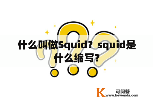 什么叫做Squid？squid是什么缩写？