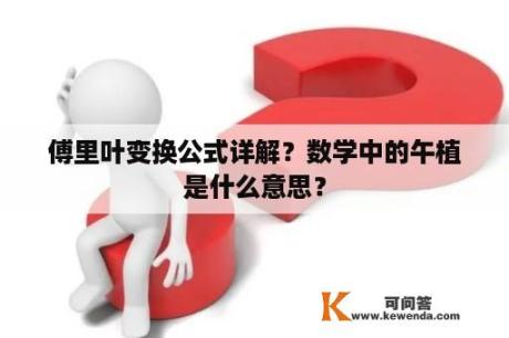 傅里叶变换公式详解？数学中的午植是什么意思？