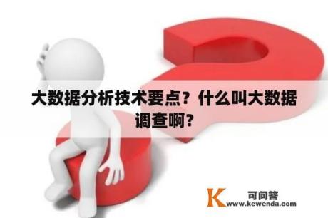 大数据分析技术要点？什么叫大数据调查啊？