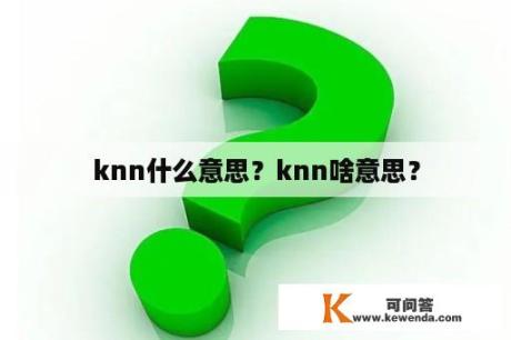 knn什么意思？knn啥意思？