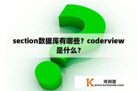 section数据库有哪些？coderview是什么？