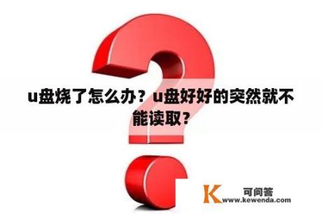 u盘烧了怎么办？u盘好好的突然就不能读取？