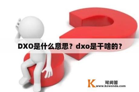 DXO是什么意思？dxo是干啥的？