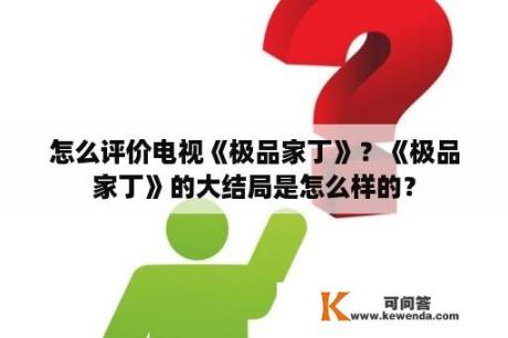 怎么评价电视《极品家丁》？《极品家丁》的大结局是怎么样的？