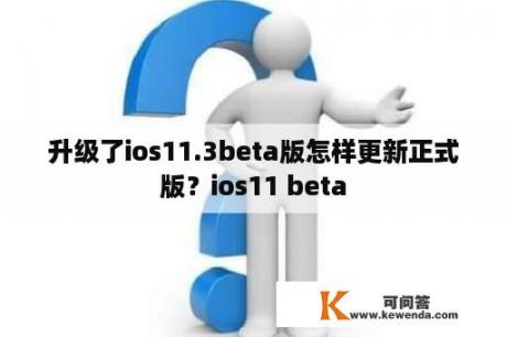 升级了ios11.3beta版怎样更新正式版？ios11 beta