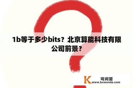 1b等于多少bits？北京算能科技有限公司前景？