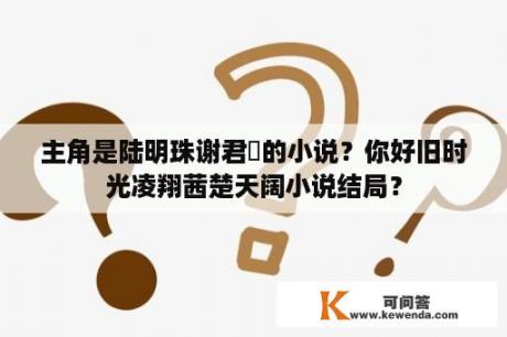 主角是陆明珠谢君峣的小说？你好旧时光凌翔茜楚天阔小说结局？