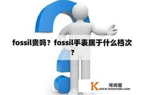 fossil贵吗？fossil手表属于什么档次？