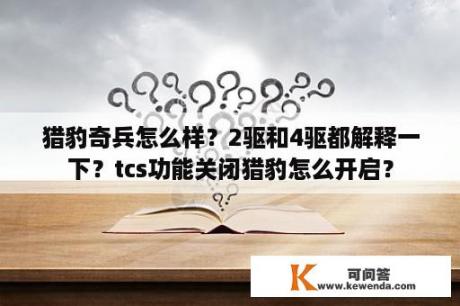 猎豹奇兵怎么样？2驱和4驱都解释一下？tcs功能关闭猎豹怎么开启？