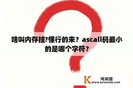 啥叫内存挂?懂行的来？ascall码最小的是哪个字符？