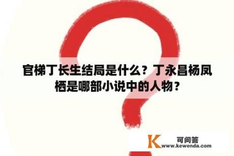 官梯丁长生结局是什么？丁永昌杨凤栖是哪部小说中的人物？