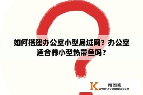 如何搭建办公室小型局域网？办公室适合养小型热带鱼吗？