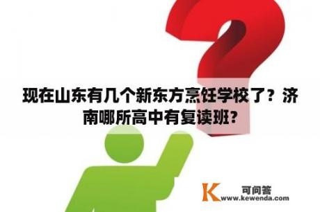 现在山东有几个新东方烹饪学校了？济南哪所高中有复读班？