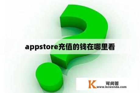 appstore充值的钱在哪里看