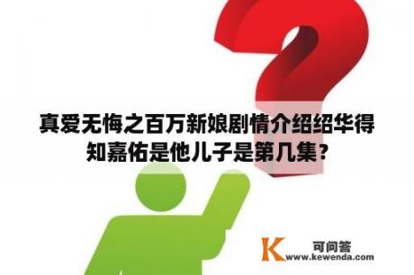 真爱无悔之百万新娘剧情介绍绍华得知嘉佑是他儿子是第几集？