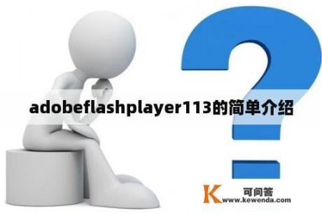 adobeflashplayer113的简单介绍