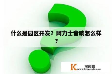 什么是园区开发？阿力士音响怎么样？