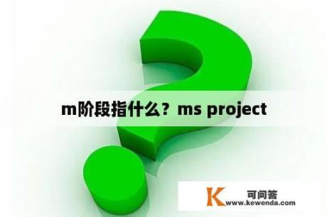 m阶段指什么？ms project
