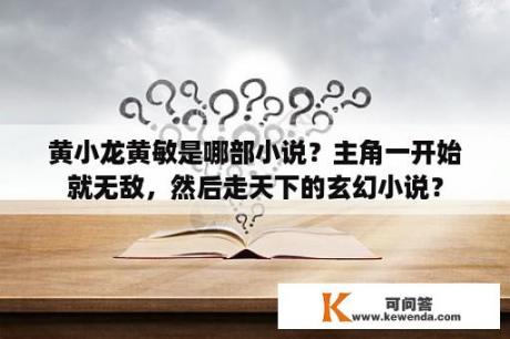 黄小龙黄敏是哪部小说？主角一开始就无敌，然后走天下的玄幻小说？