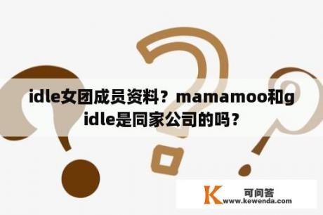 idle女团成员资料？mamamoo和gidle是同家公司的吗？