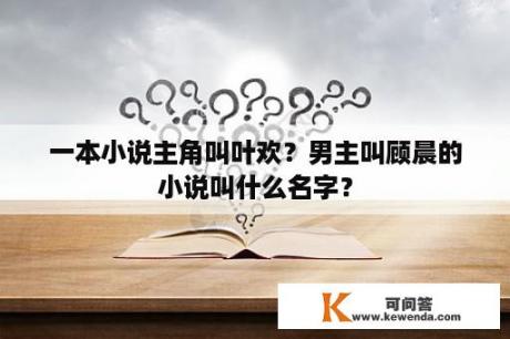 一本小说主角叫叶欢？男主叫顾晨的小说叫什么名字？