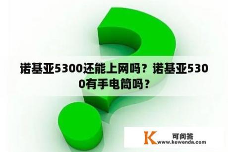 诺基亚5300还能上网吗？诺基亚5300有手电筒吗？