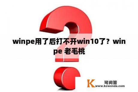 winpe用了后打不开win10了？winpe 老毛桃