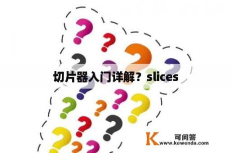 切片器入门详解？slices