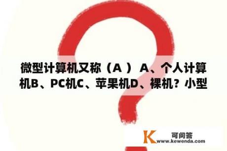 微型计算机又称（A ） A、个人计算机B、PC机C、苹果机D、裸机？小型微型计算机