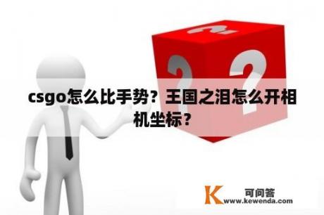 csgo怎么比手势？王国之泪怎么开相机坐标？