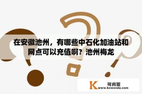 在安徽池州，有哪些中石化加油站和网点可以充值啊？池州梅龙