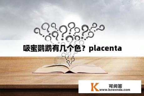 吸蜜鹦鹉有几个色？placenta