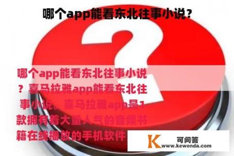 哪个app能看东北往事小说？