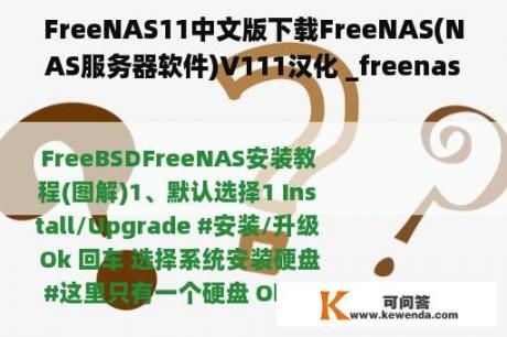 FreeNAS11中文版下载FreeNAS(NAS服务器软件)V111汉化 _freenas客户端