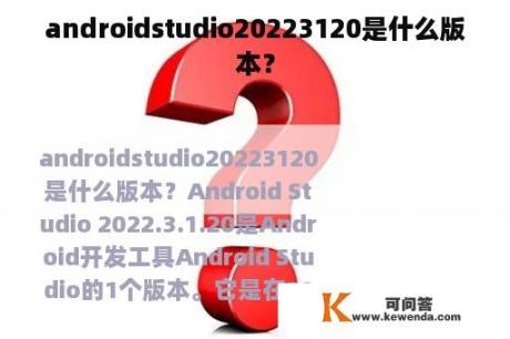androidstudio20223120是什么版本？