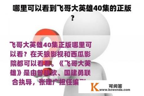 哪里可以看到飞哥大英雄40集的正版？