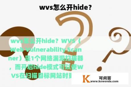 wvs怎么开hide？