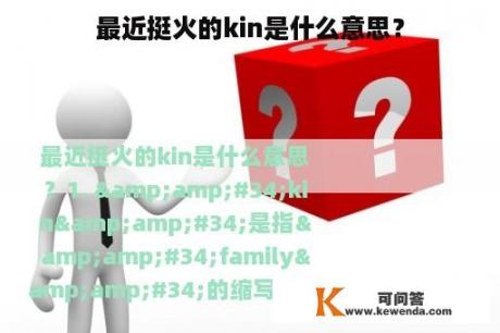 最近挺火的kin是什么意思？