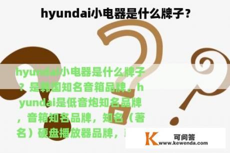 hyundai小电器是什么牌子？