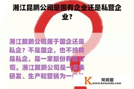 湘江昆鹏公司是国有企业还是私营企业？